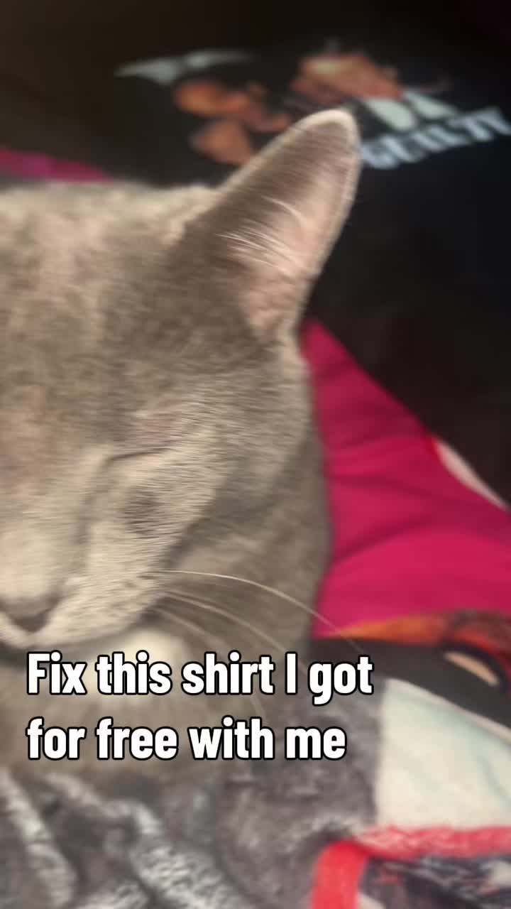 @Giovanna
