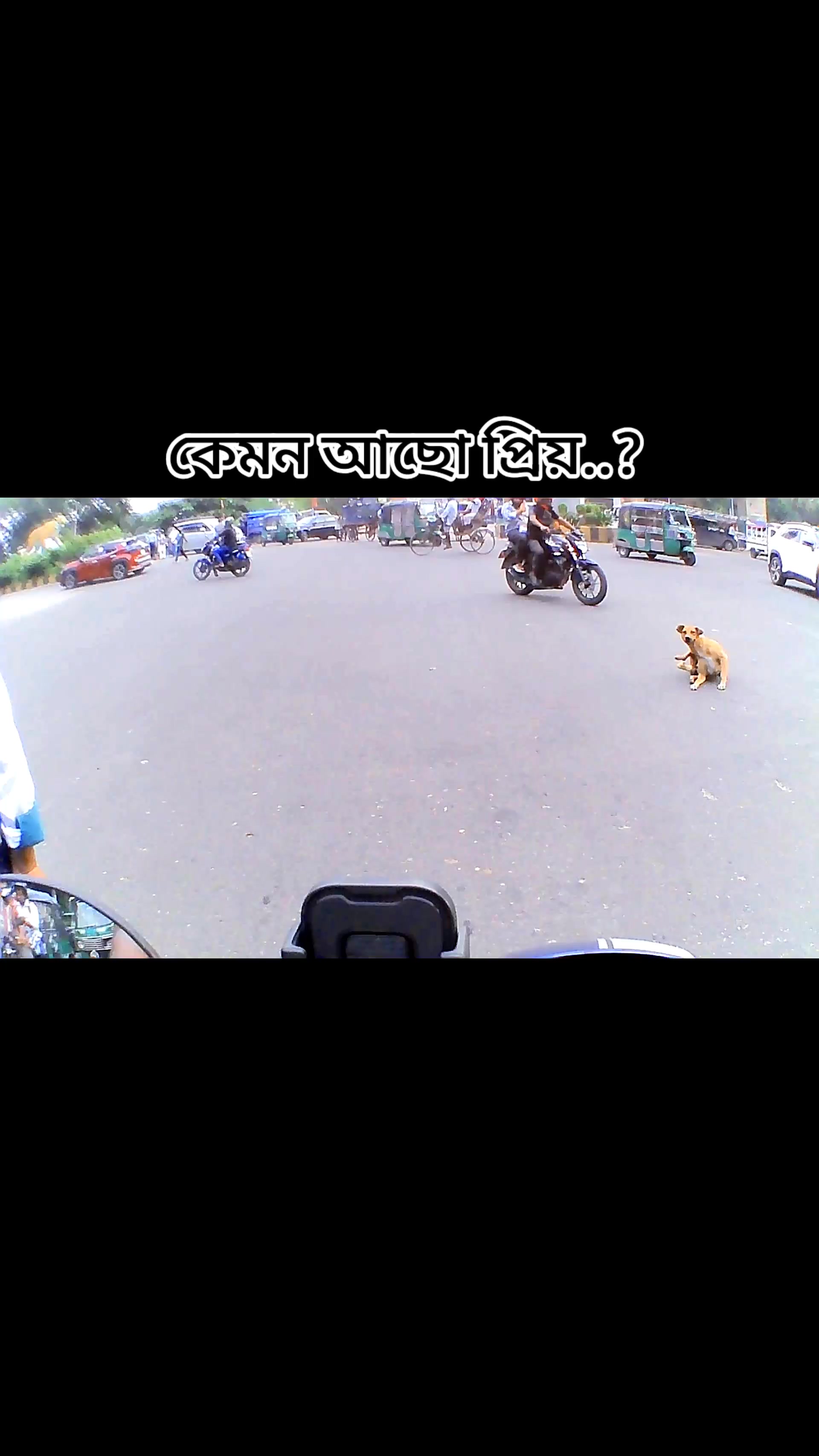 @Rubel Shorts Vlogs