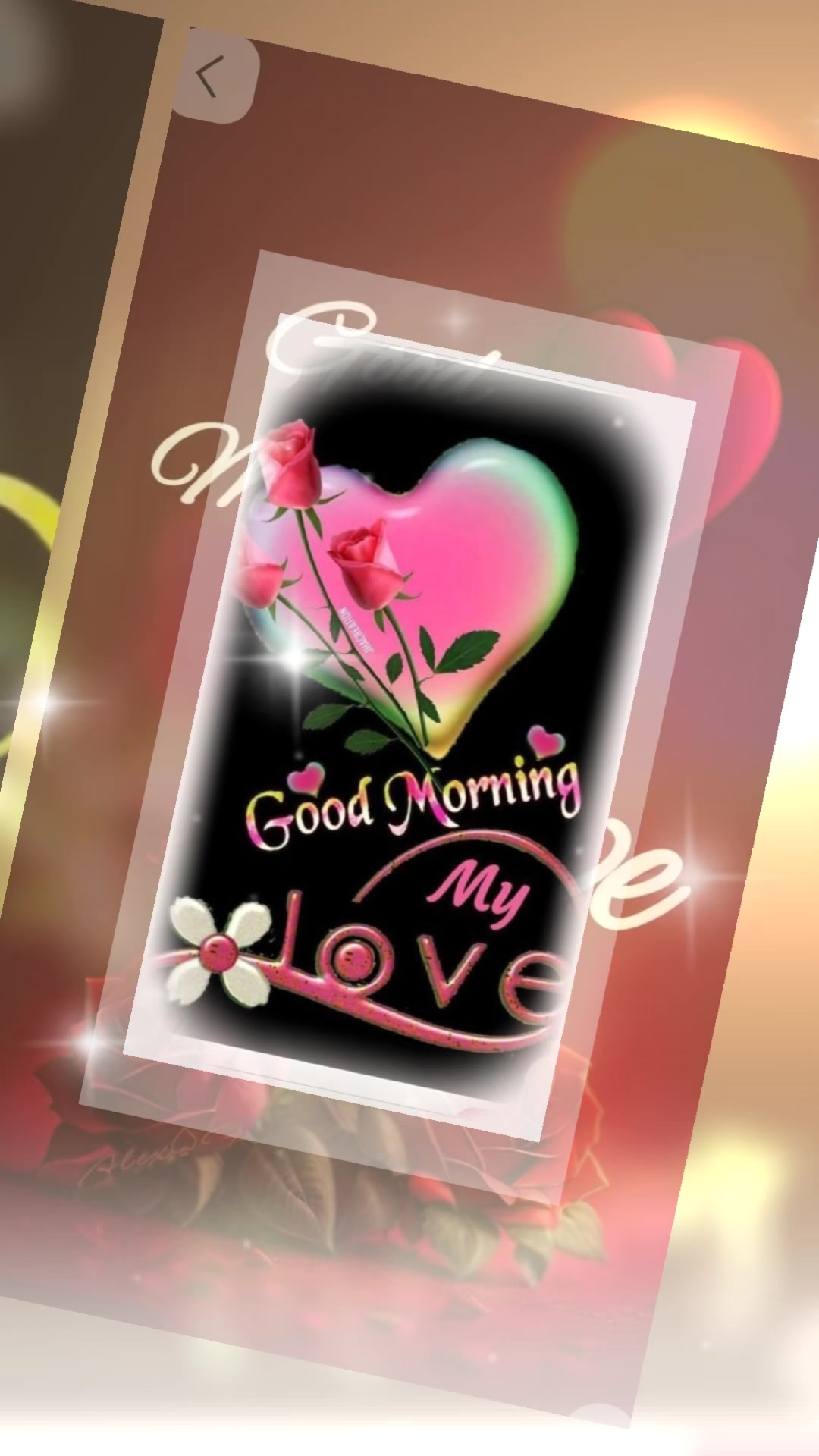 @Alifia