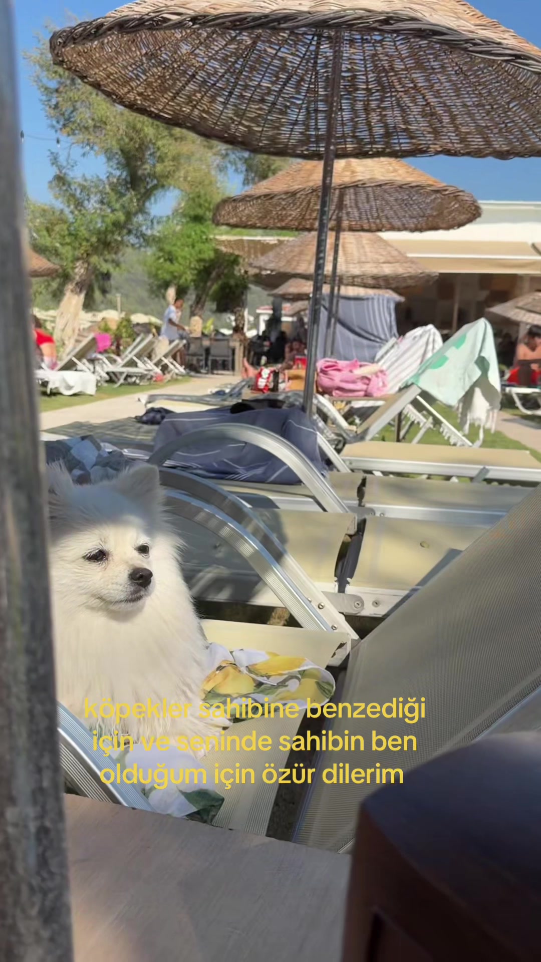 @Derin