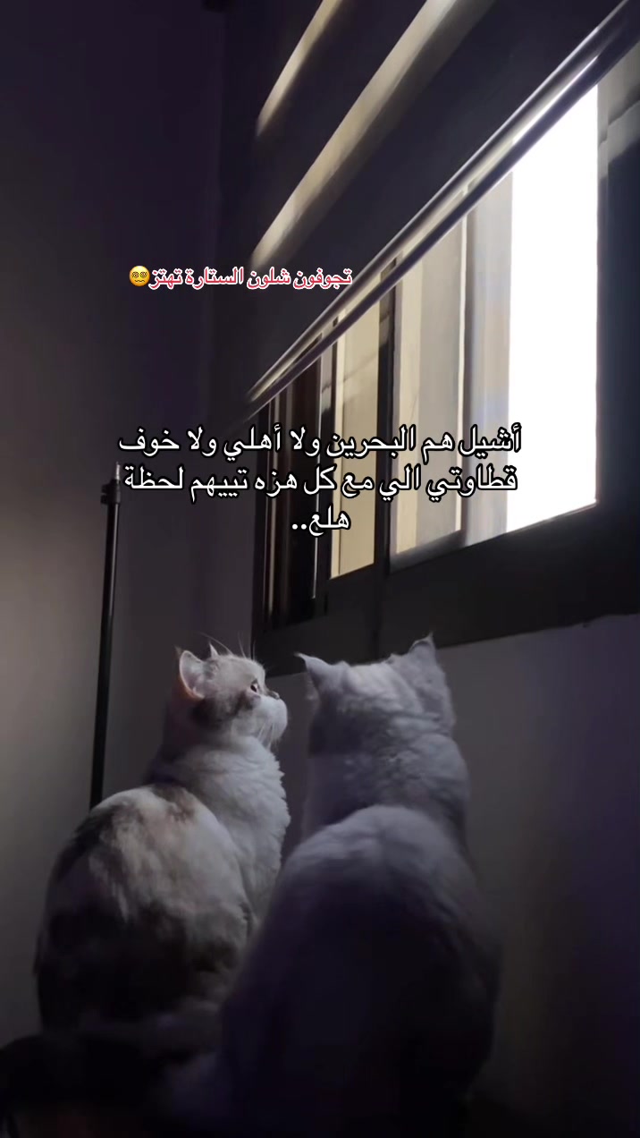 @MILA🤍LUNA