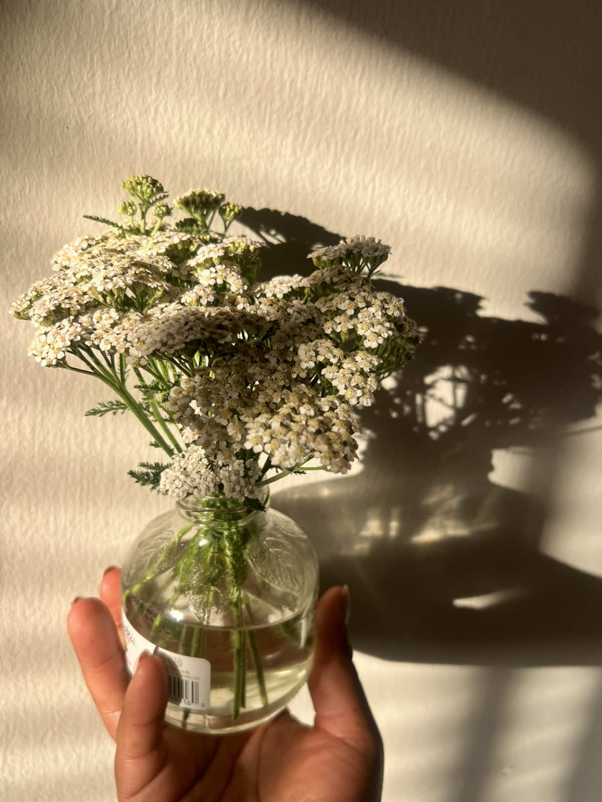 @gently.nurture