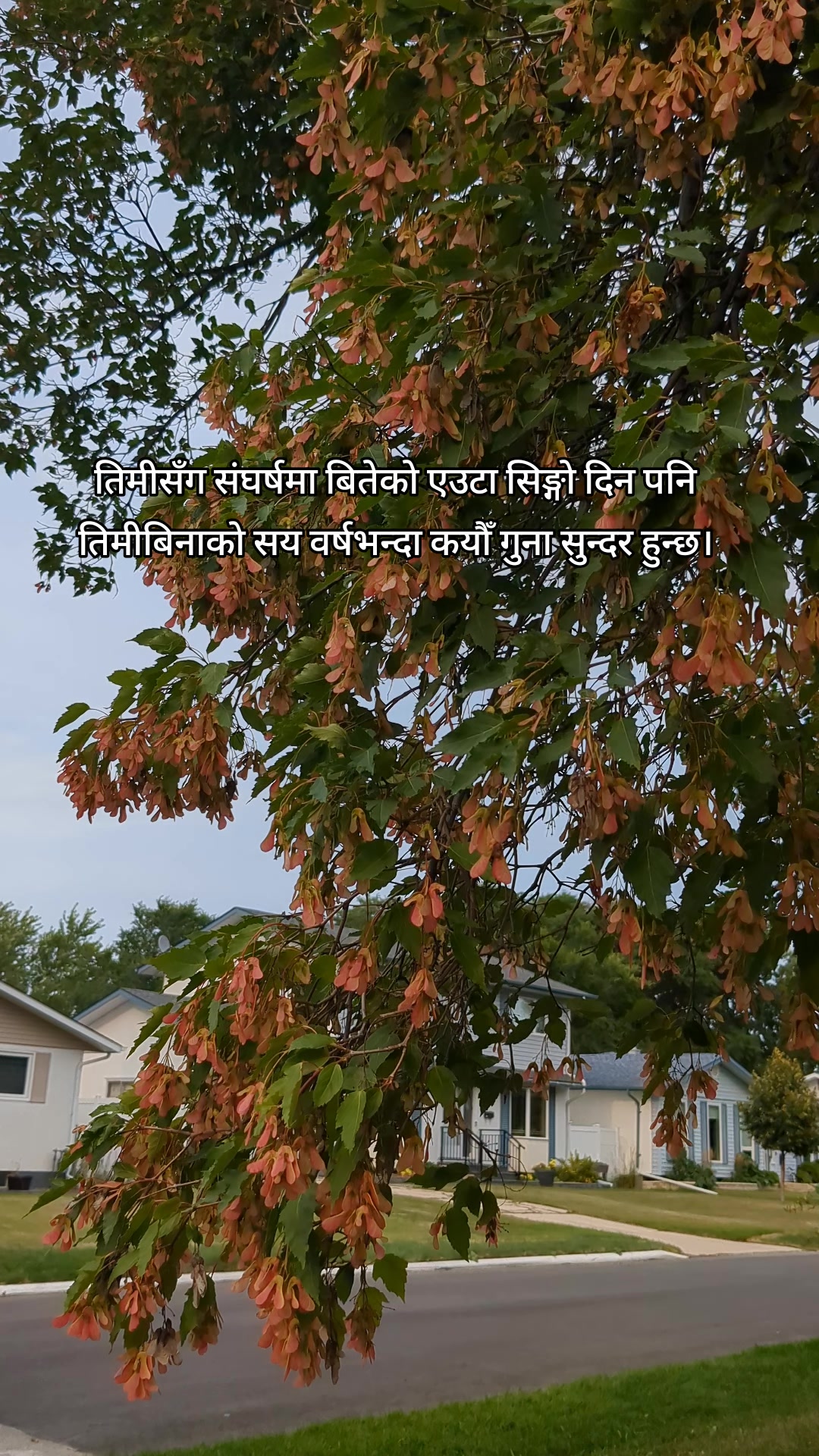 @MANJU🌸