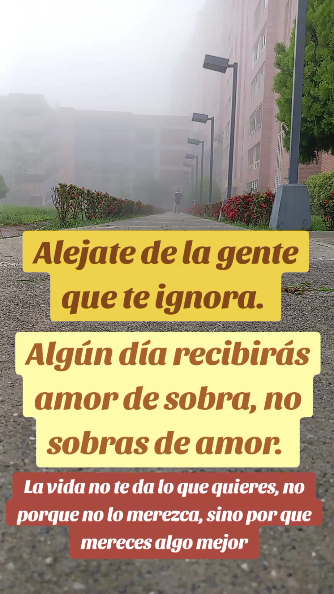 @JESUS SALVADOR