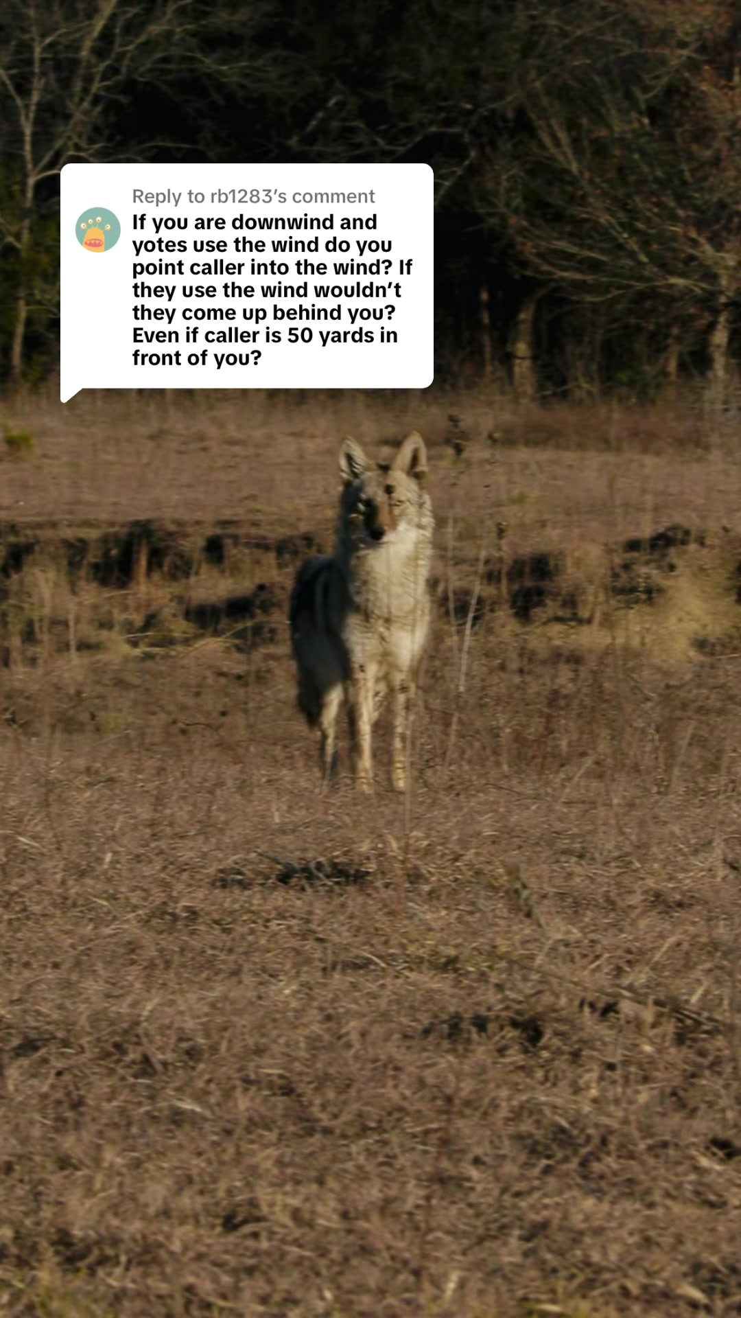 @FOXPRO Game Calls