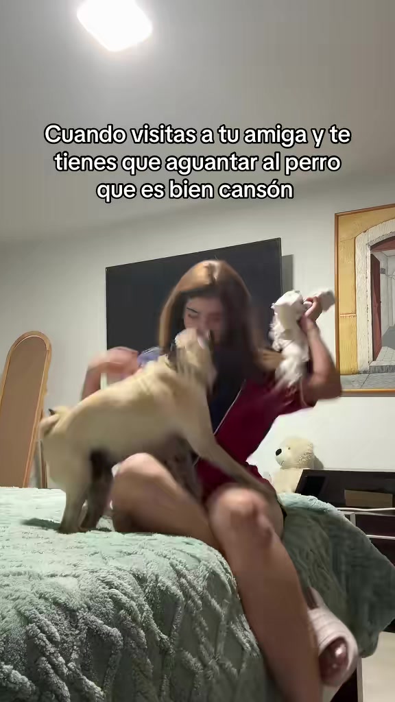 @Alexa&elcarnalchiss