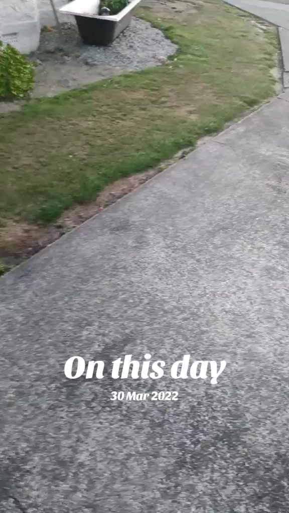 @shellyteddybear1