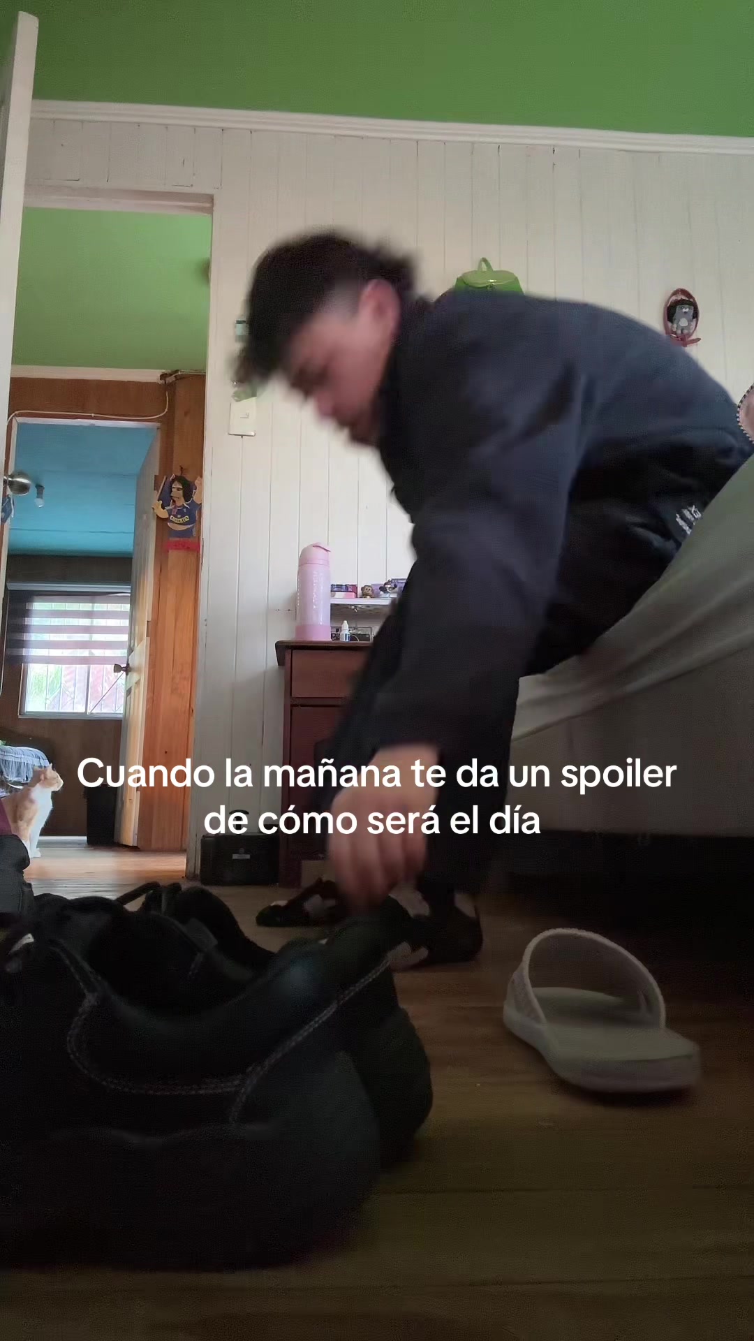@Mathias Aliste