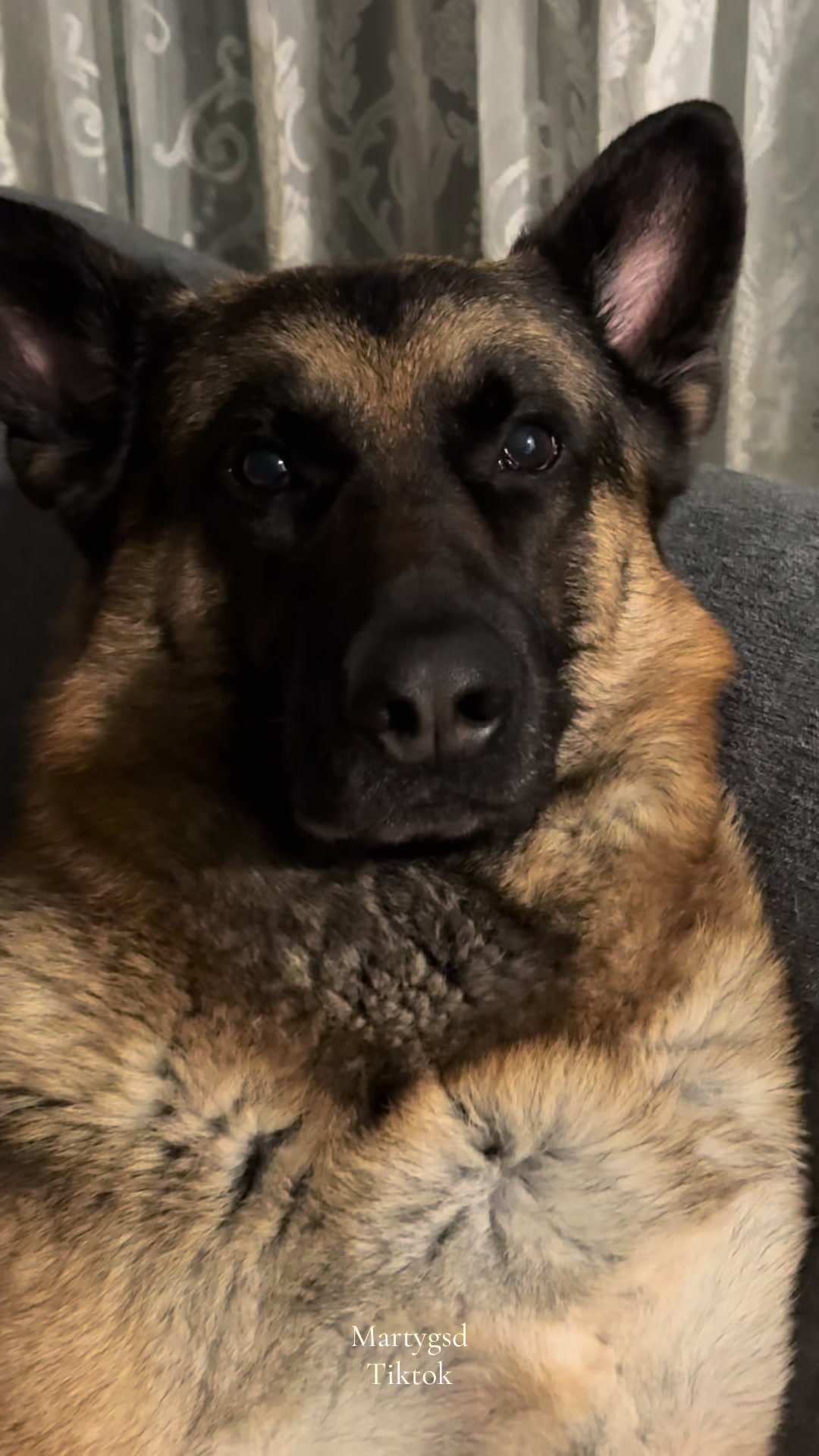 @Martygsd