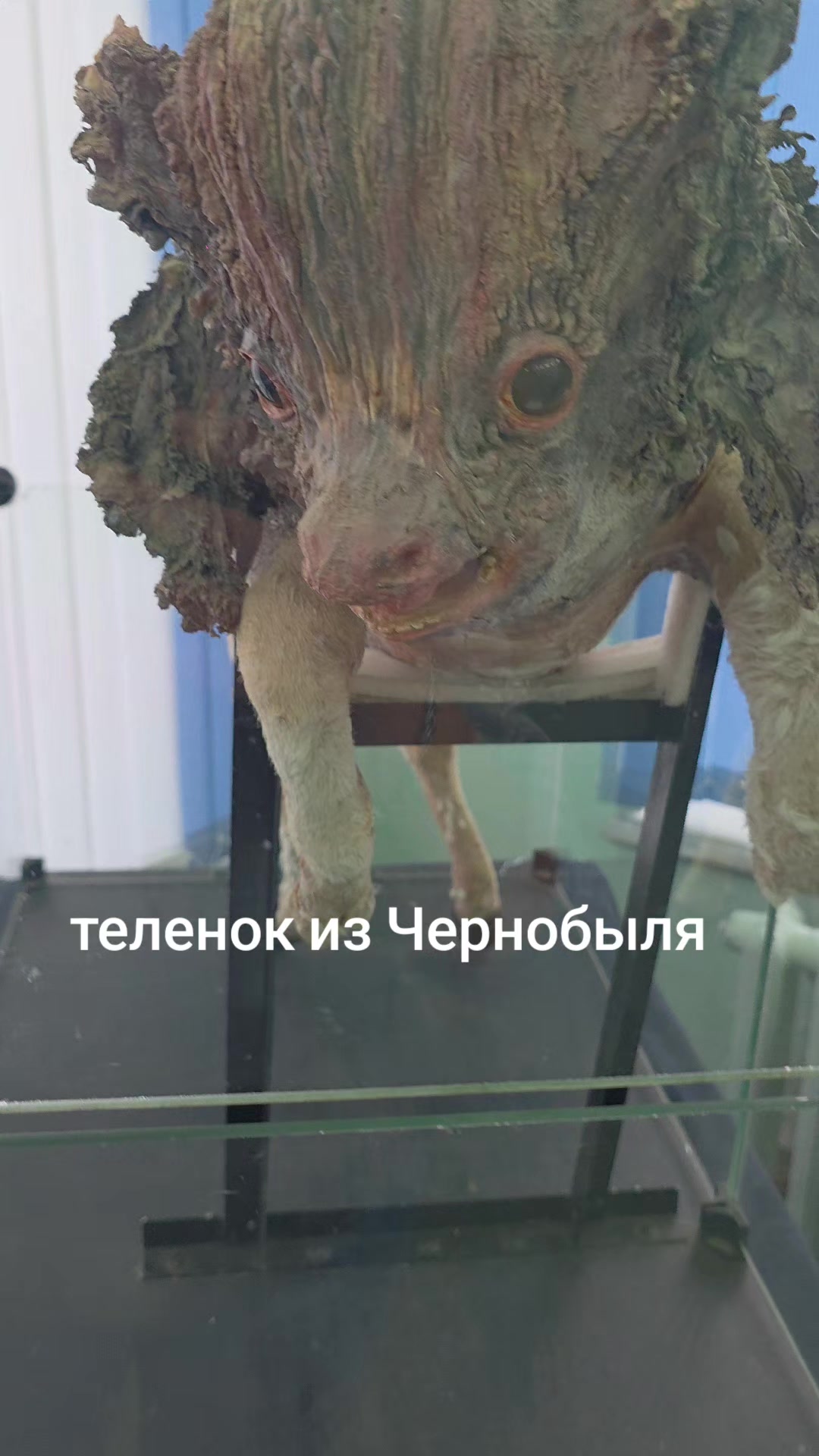 @Александра