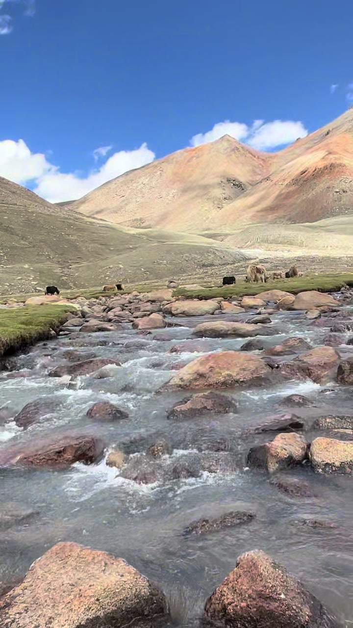 @Nepal Mountain Guides 🇳🇵