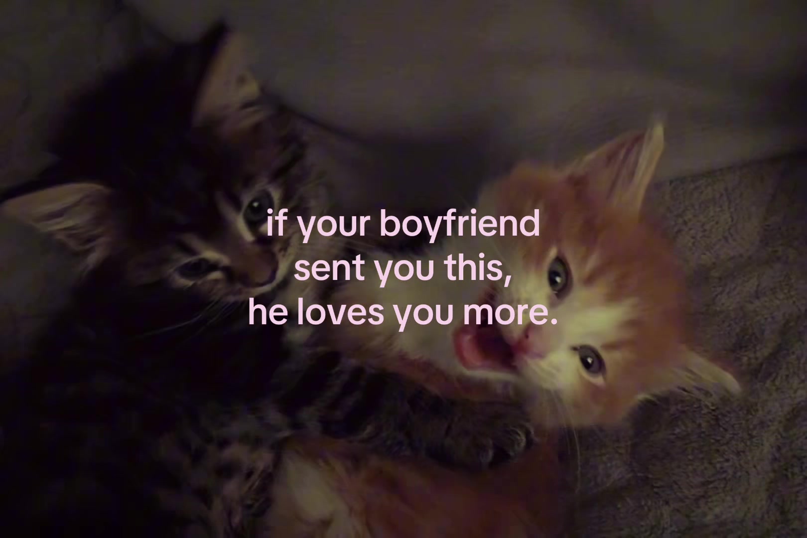 @sxalenz