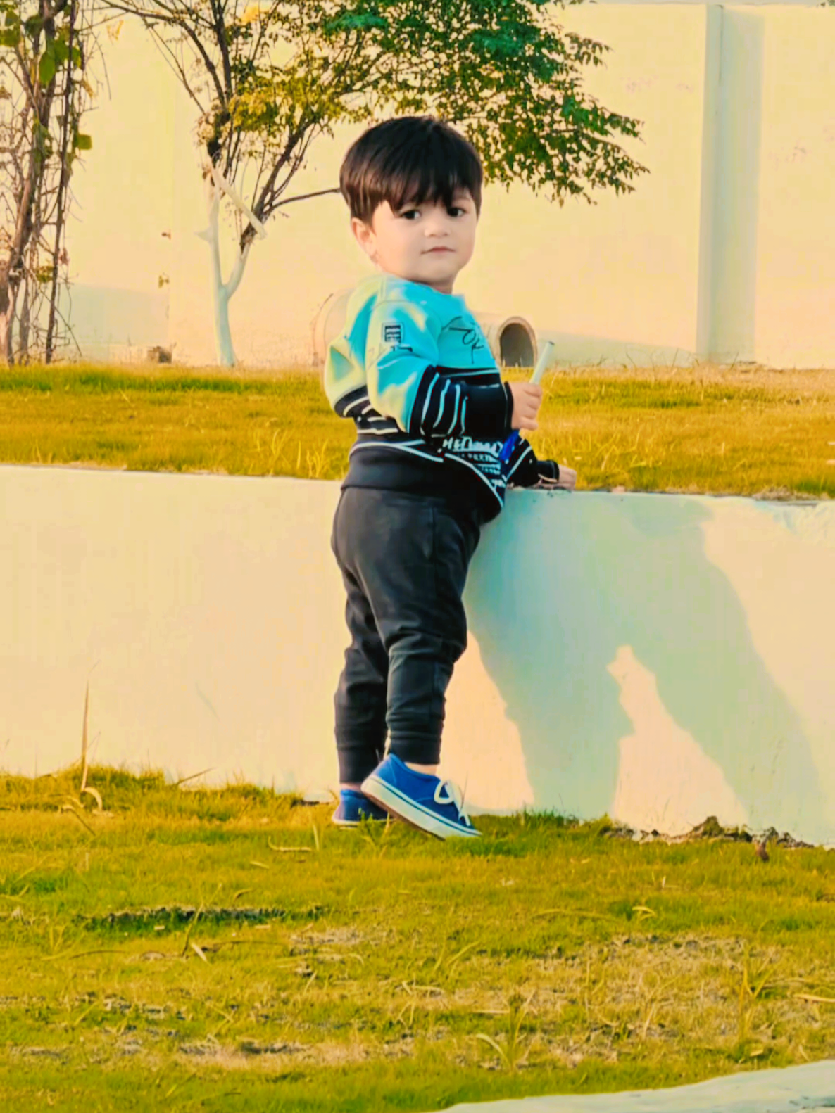 @Ali Irfan advocate