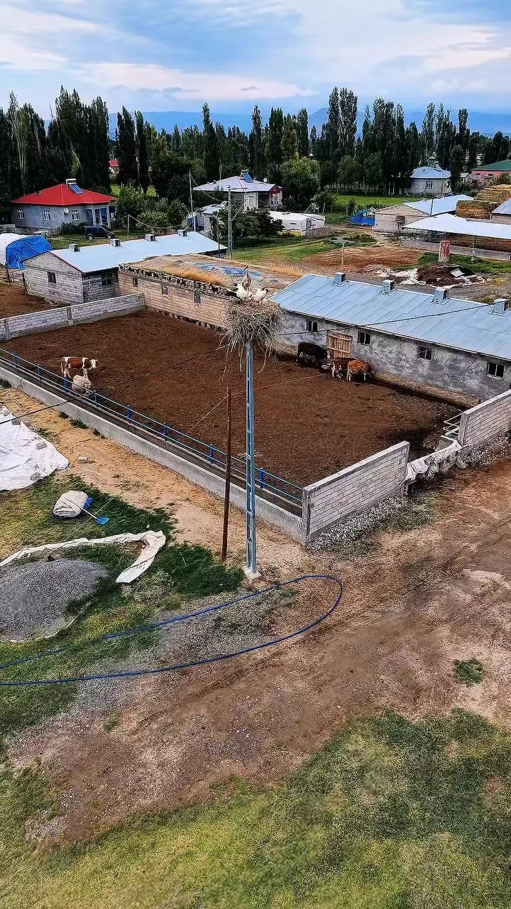 @BERKAY GÜLER