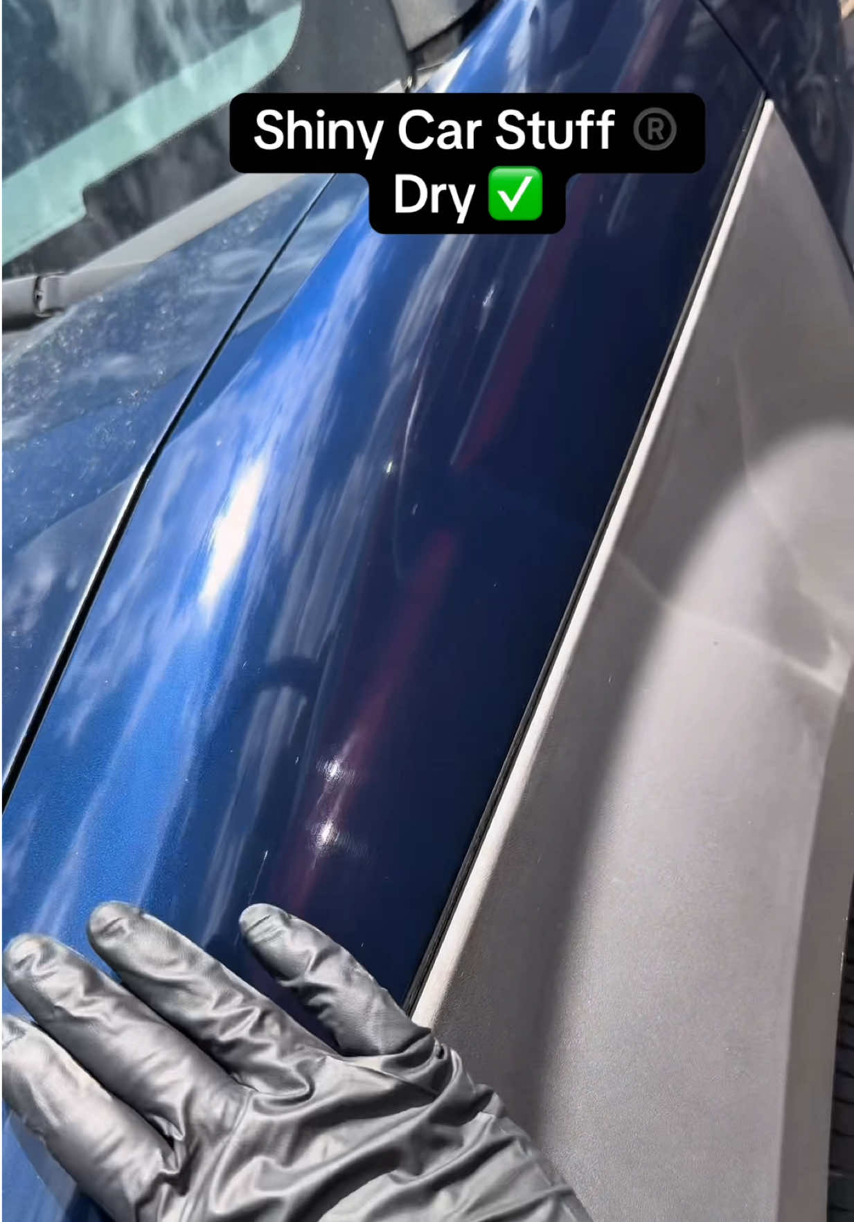 @Shiny Car Stuff