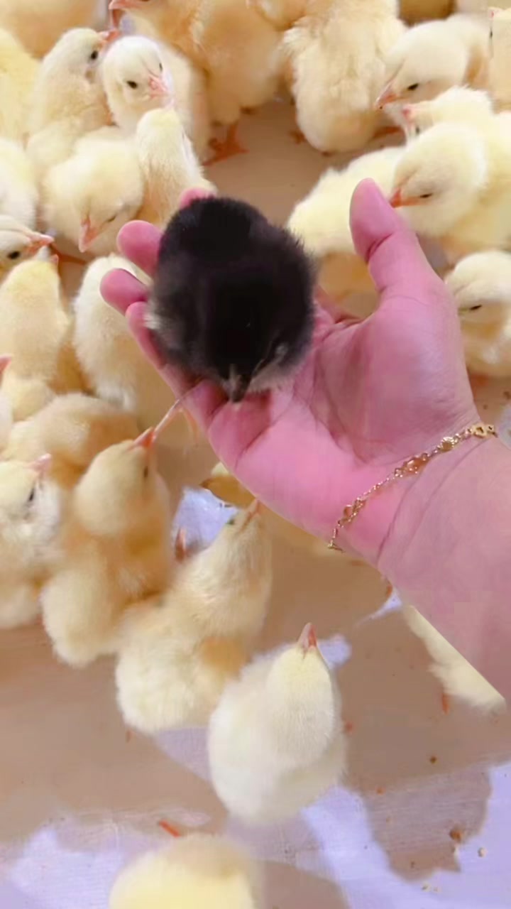 @𝓢𝓲𝓵𝓿𝓲𝓪.𝓝.𝓢 💕