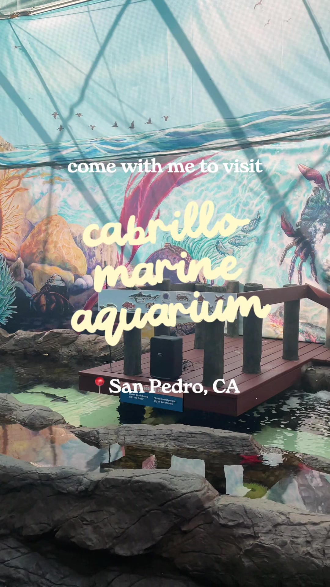 @environerd | ocean hope club💌