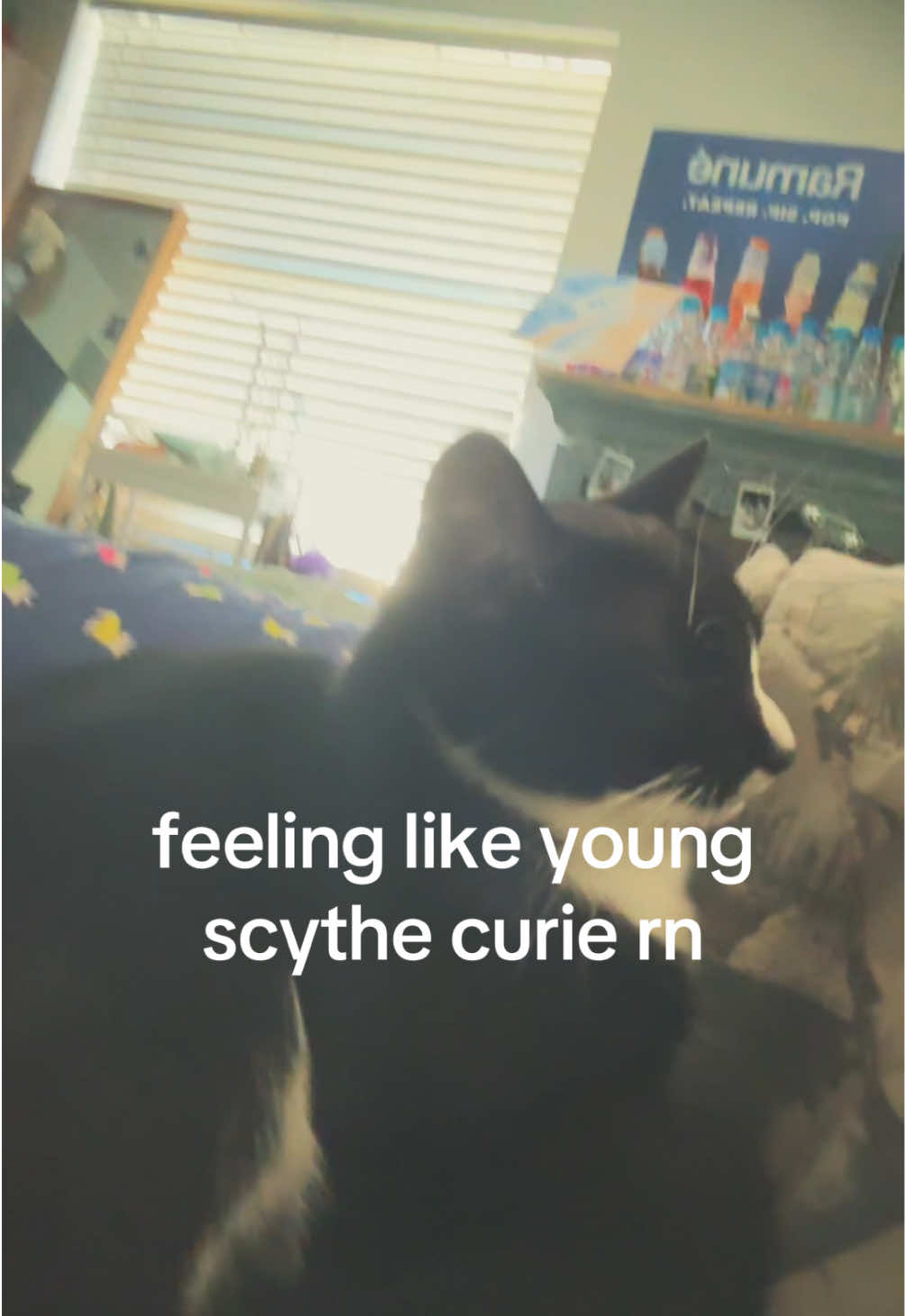 @Scythe Cupid