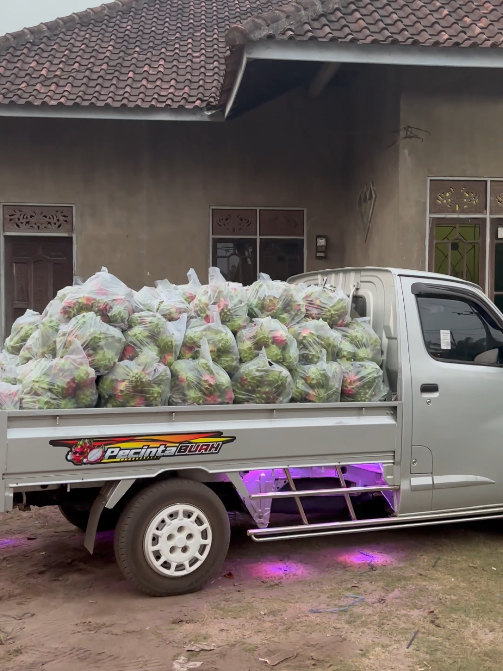 @Pecinta Buah PKY