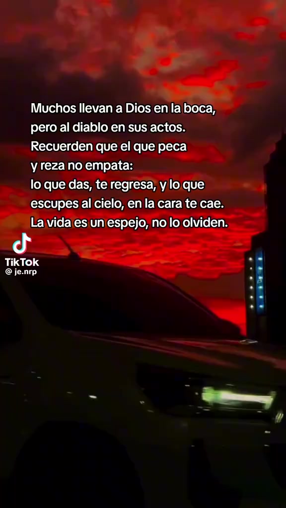 @vane19
