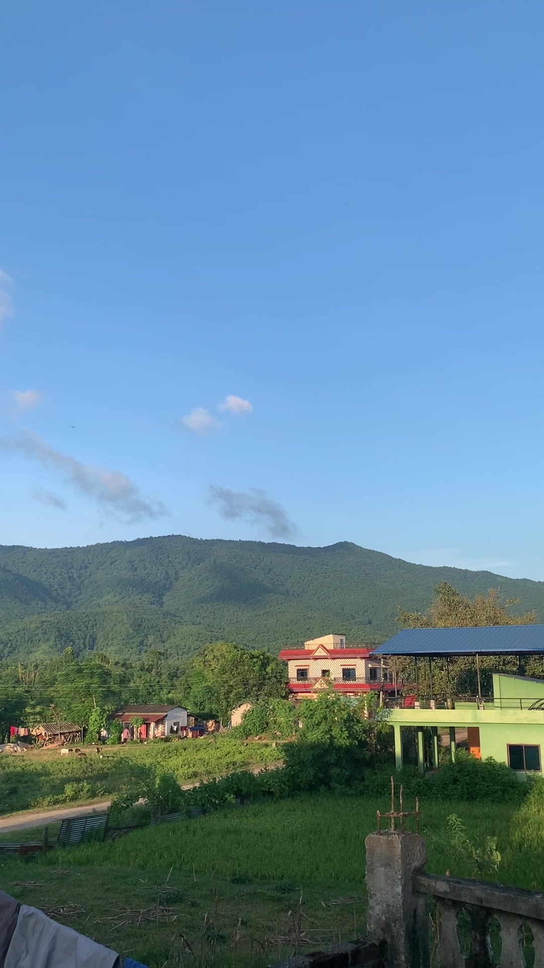 @सरिस्मा Harmel🌸