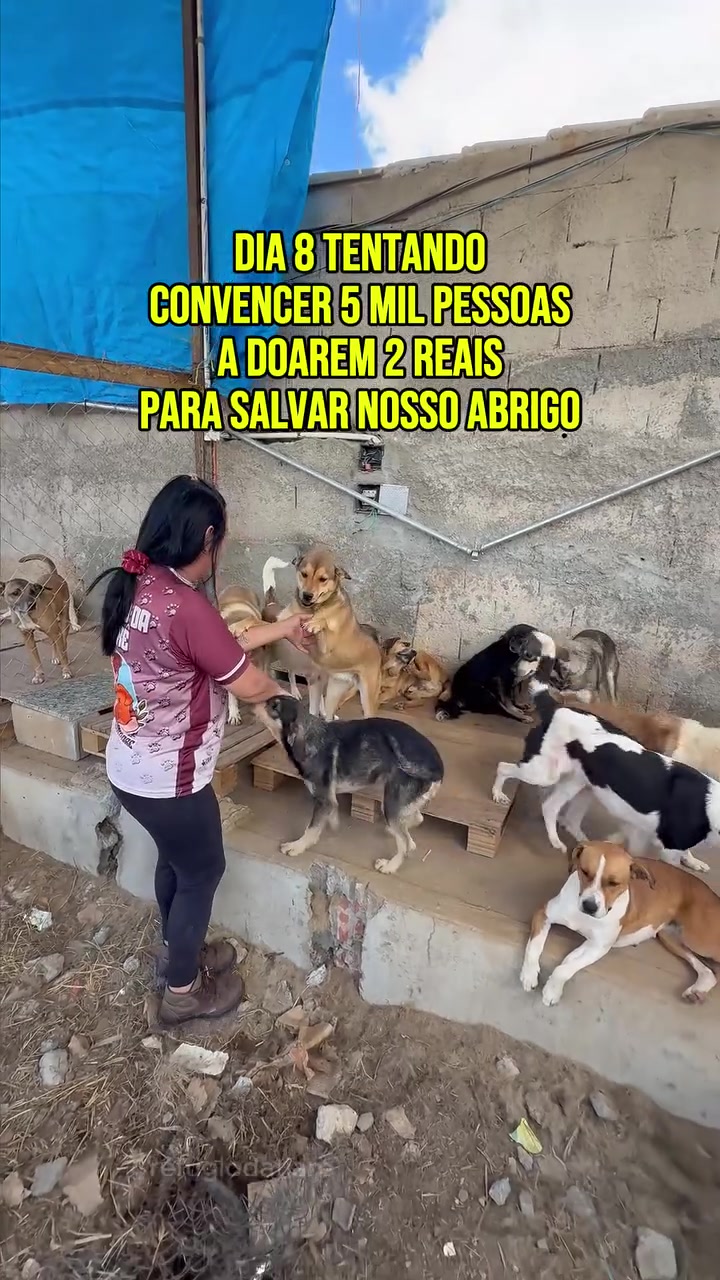 @ABRIGO DA VÓ