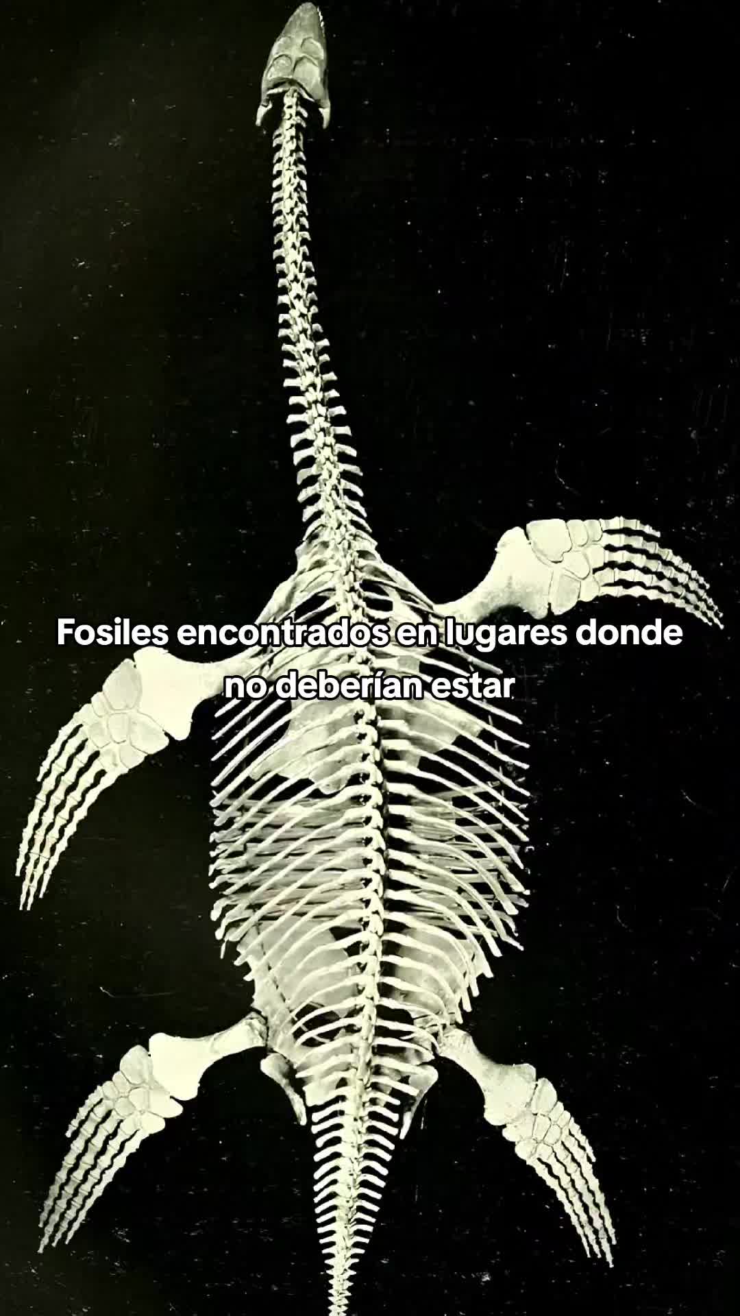 @Viva Historia