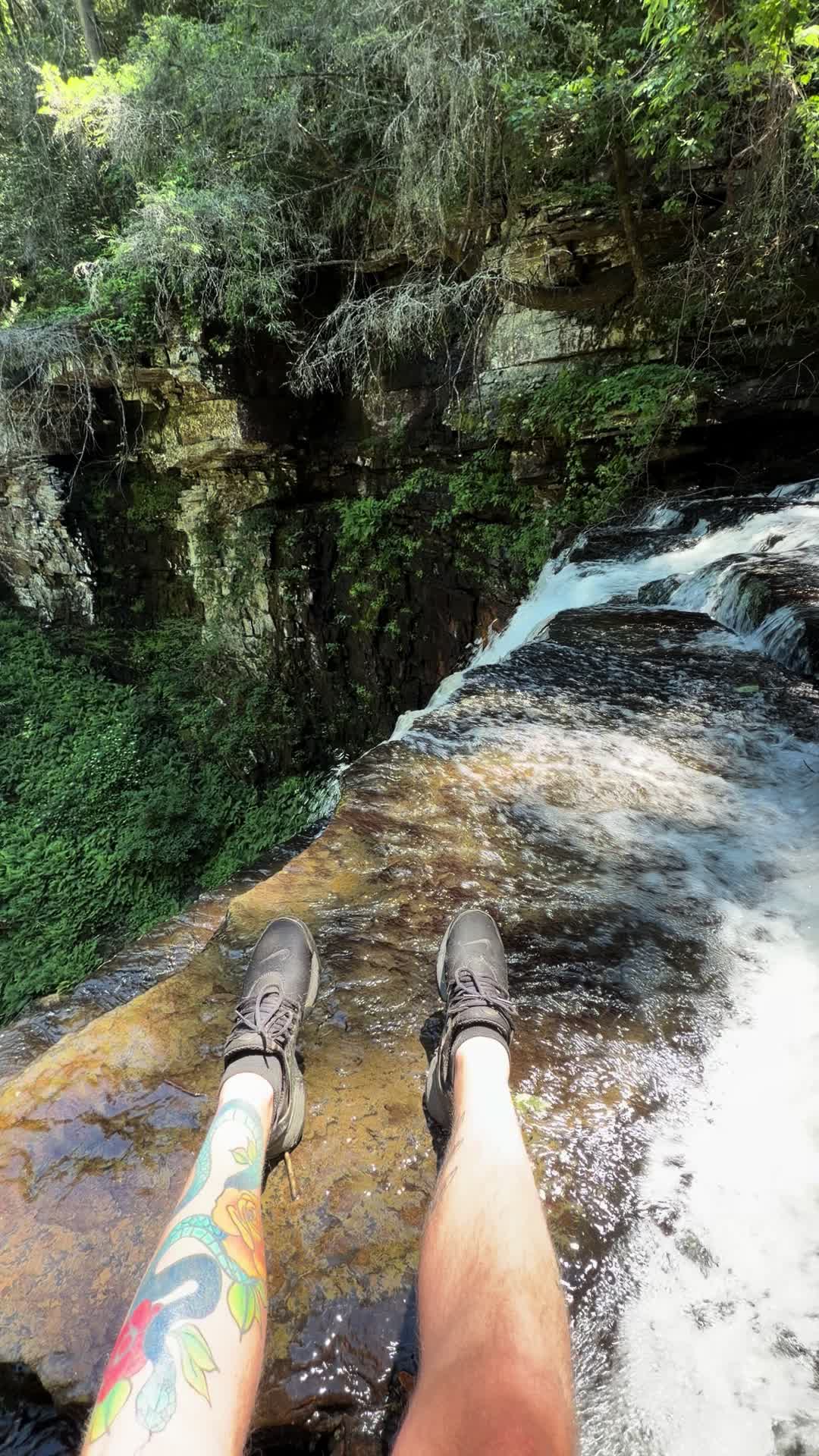 @Nature junkie