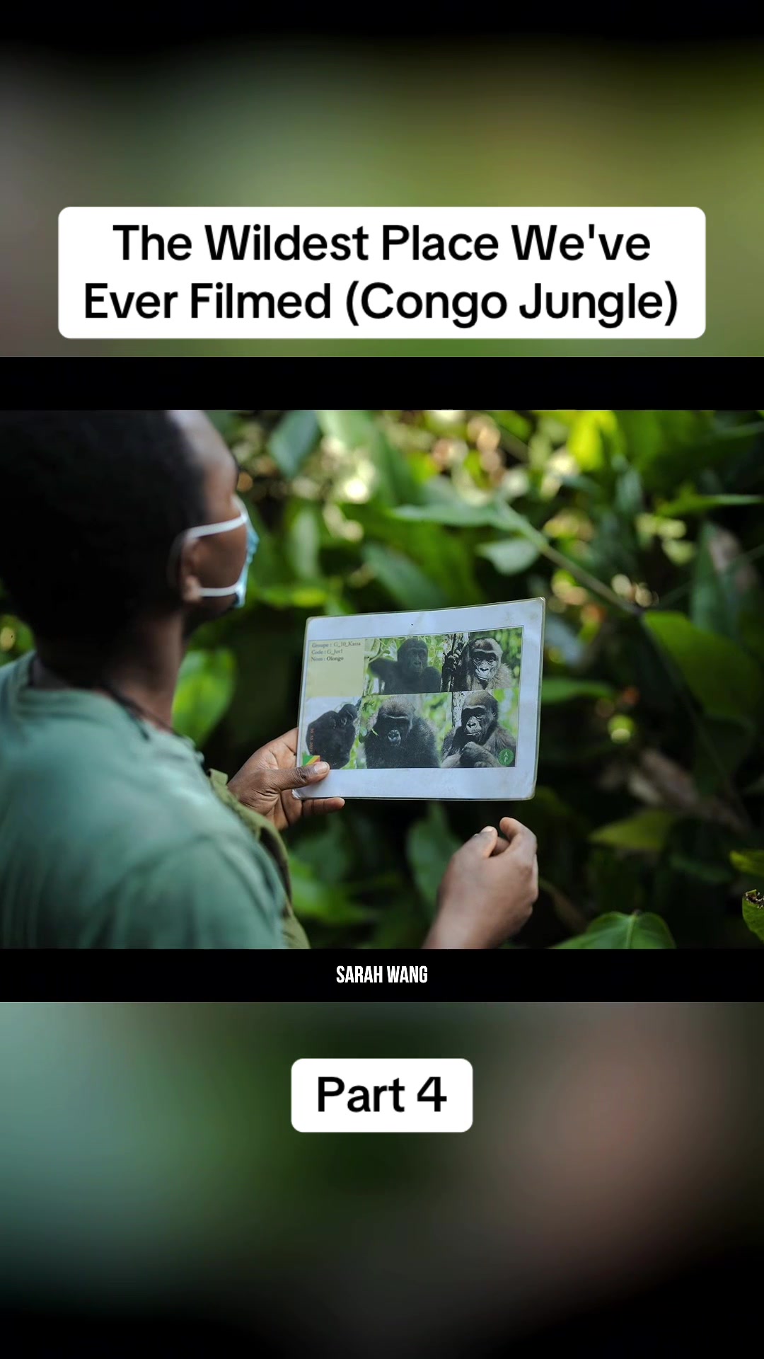 @DonkiGeo