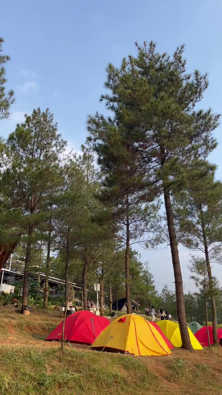 @cemal.cemilnagih