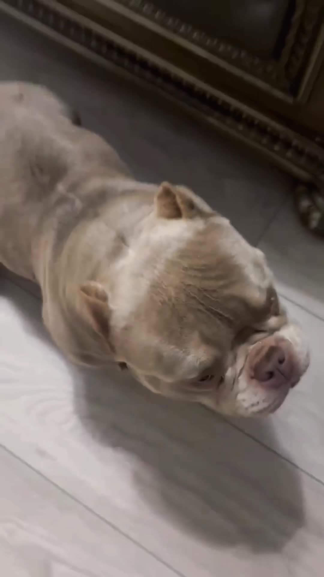 @directedby_sosa