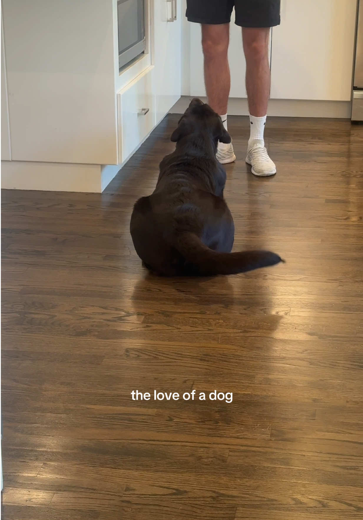@chipthechonk