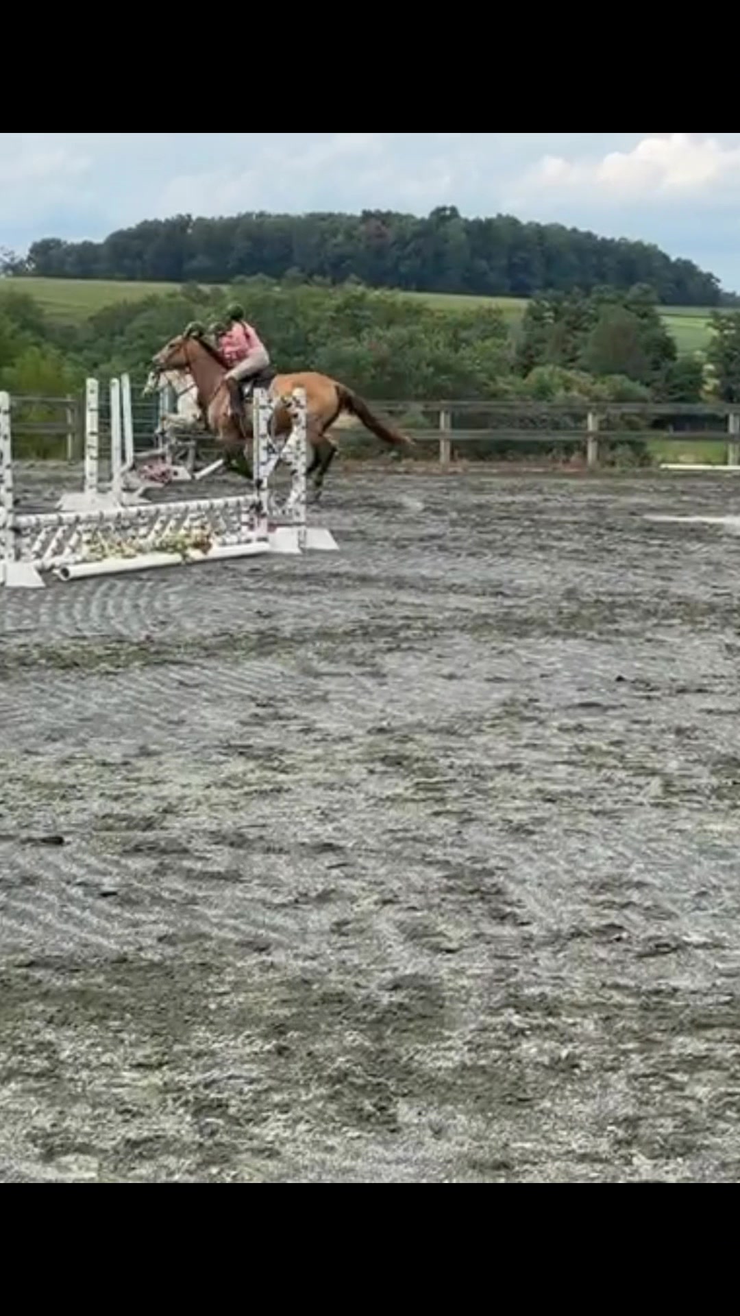 @Aftyn 🐎