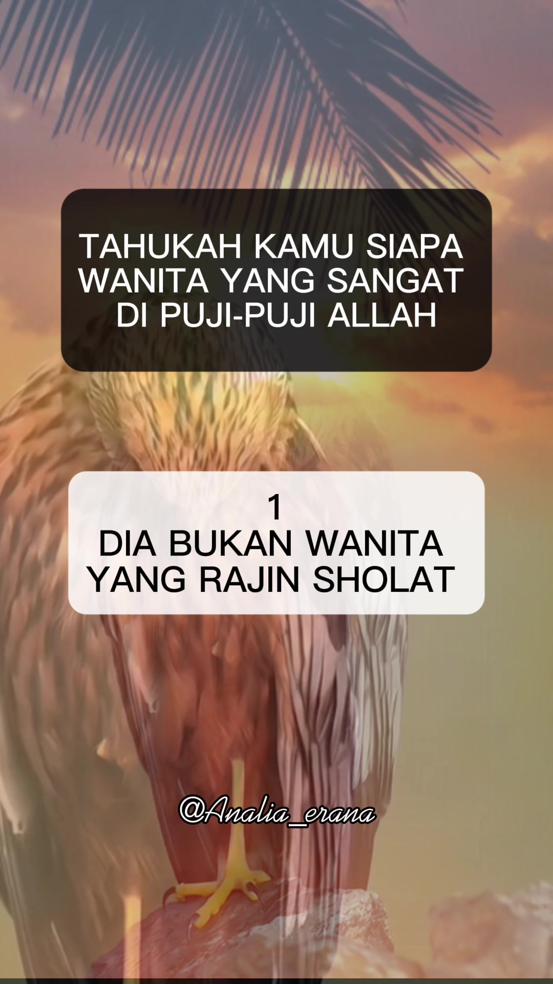 @Analia Kim