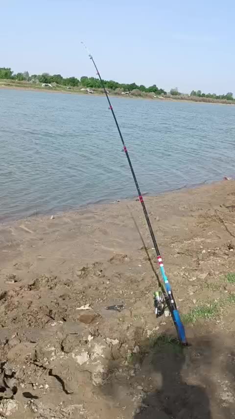@uzfisher | Baliqovi |