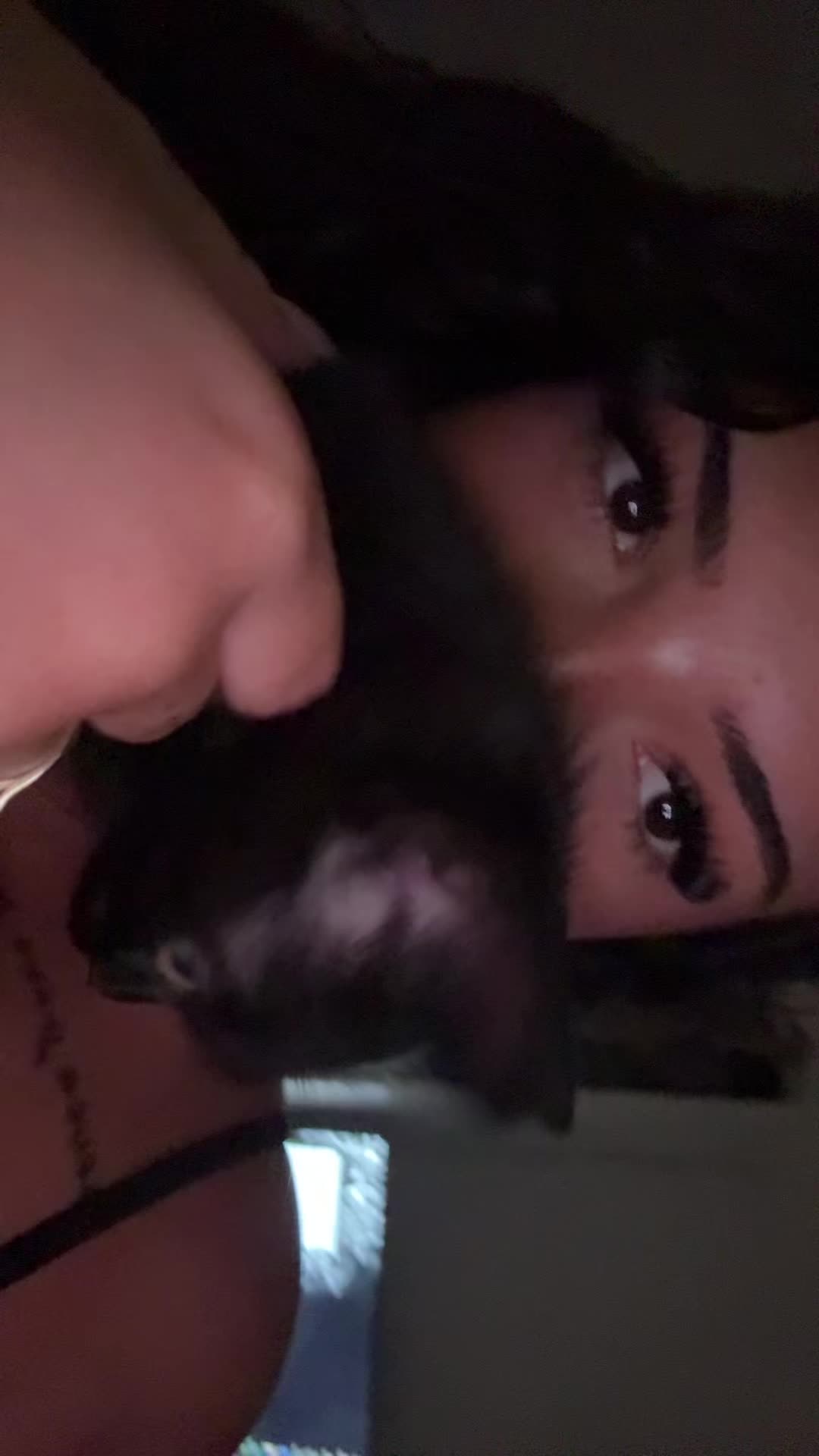 @mltrt