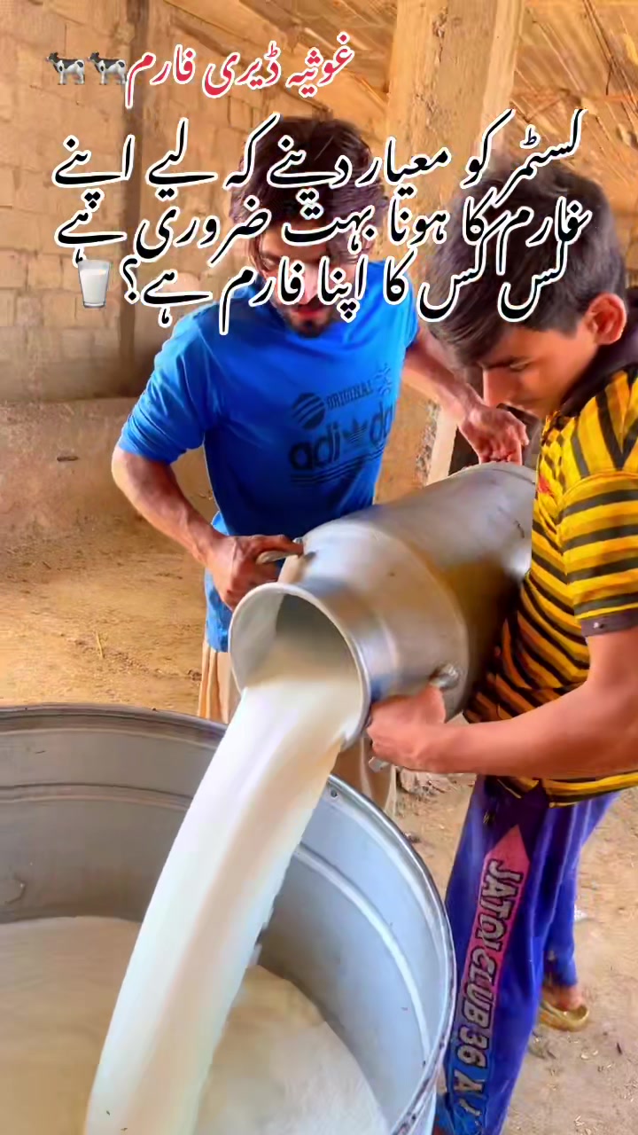 @Ghosia_Milk_Shop