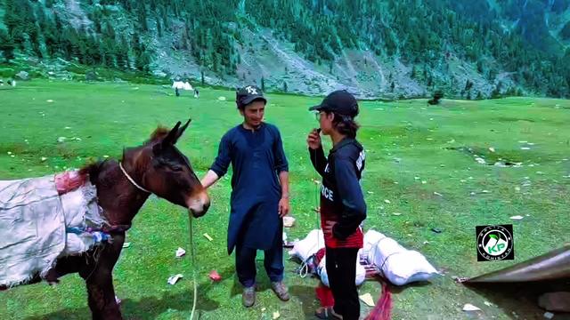 @🌳balijakpkohistan55055🌳