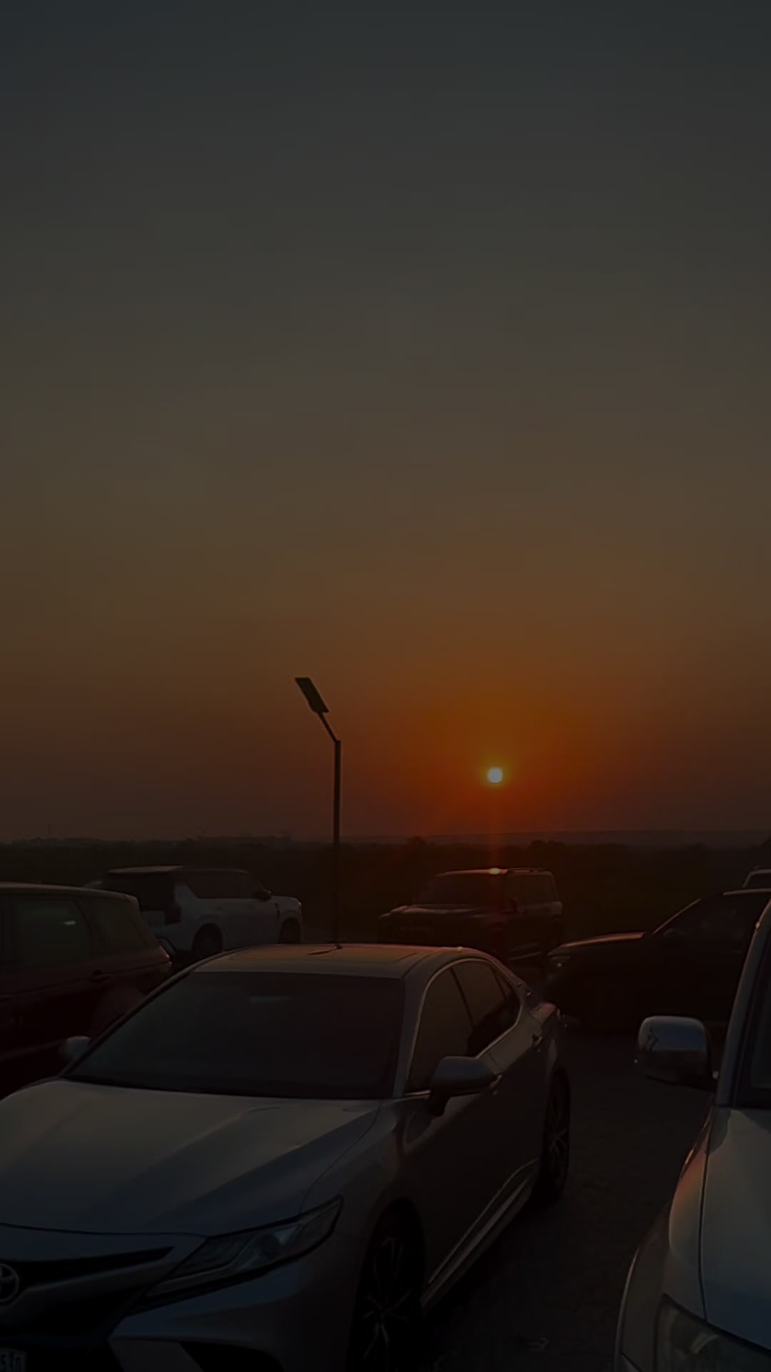 @🦋 Catherine 🦋