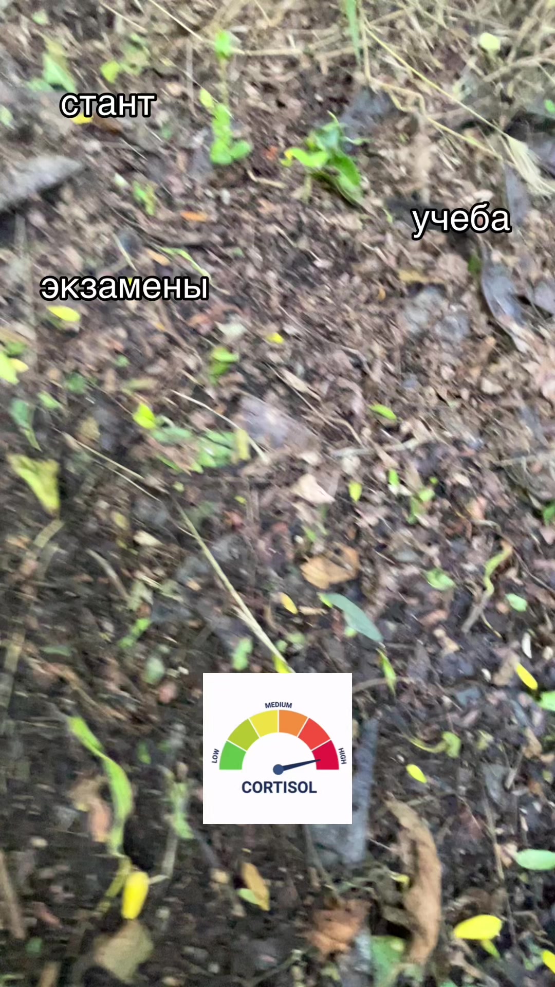 @…