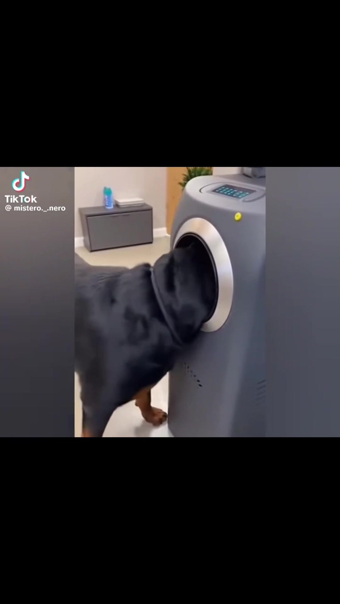 @𝙈𝙖𝙚𝙨𝙩𝙧O🫆🫆