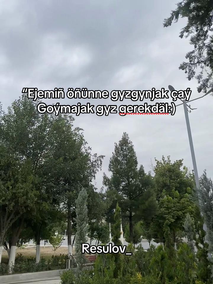 @𝓡𝓮𝓼𝓾𝓵𝓸𝓿_ 