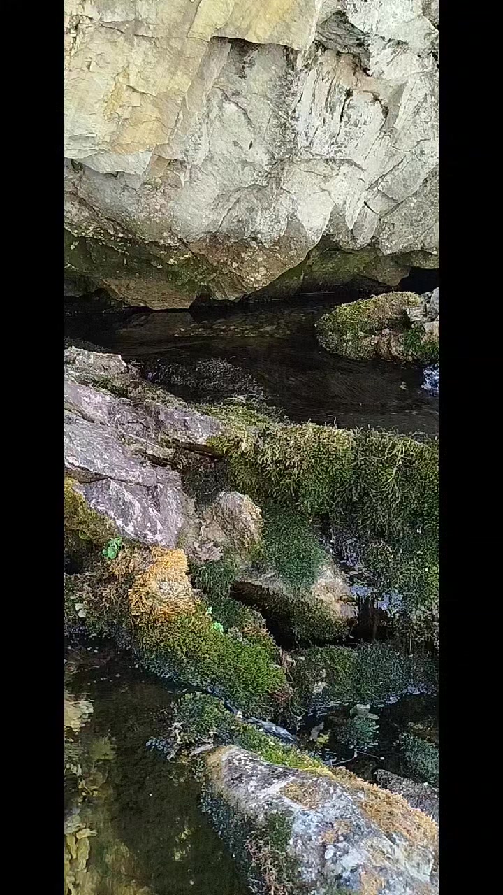 @bozkurt
