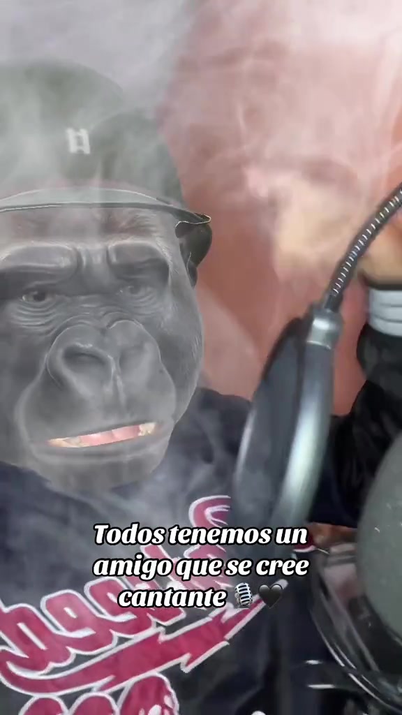 @tigrillo_mx