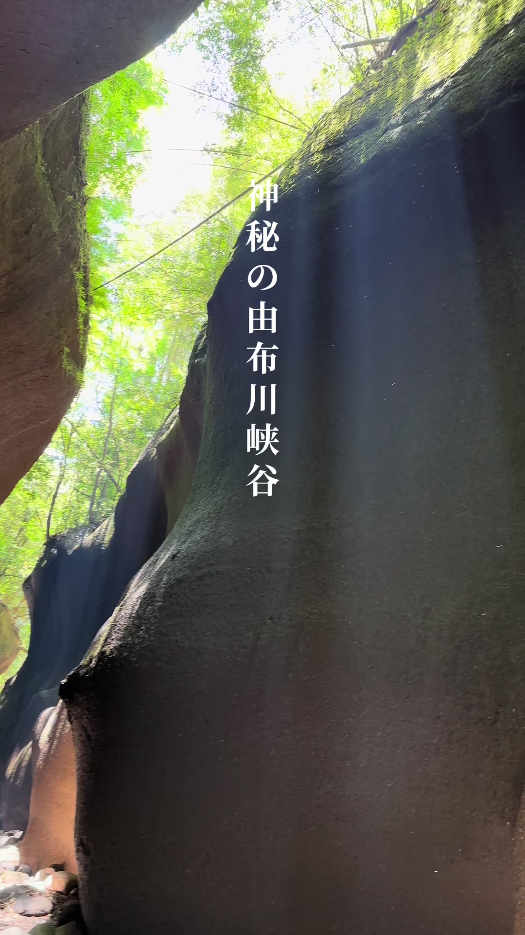 @トモヒサ🗾