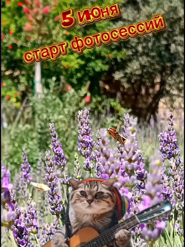 @Aria Lavender