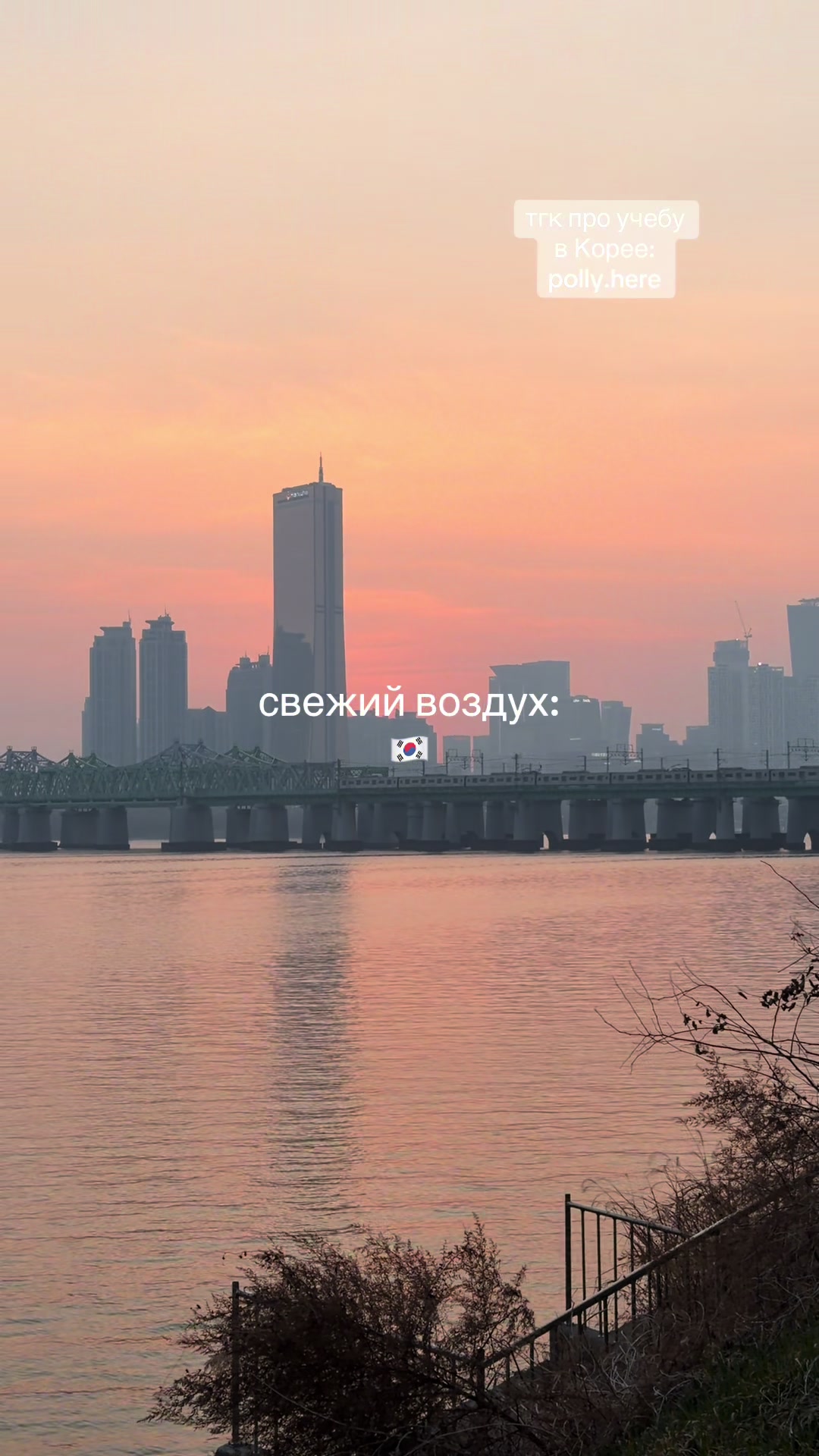 @тгк: polly.here