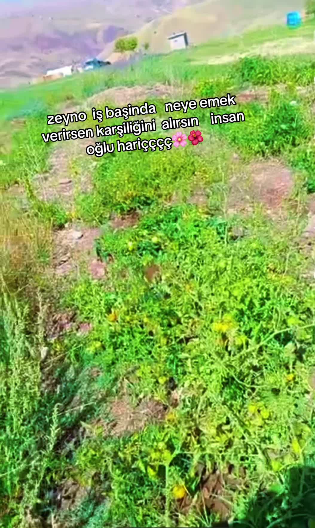 @ŞİYAR ✪