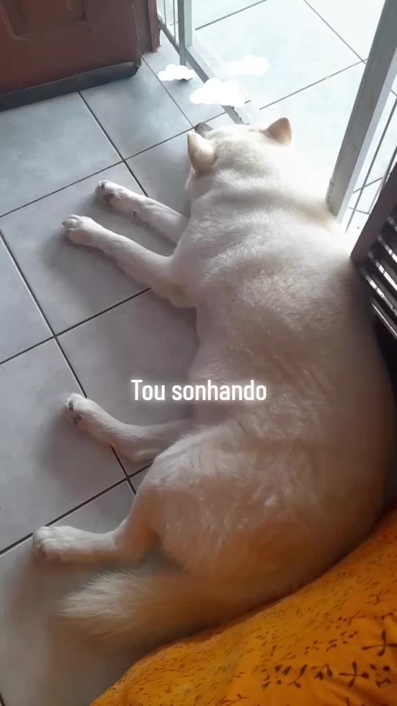@S&eacute;rgio Loncke