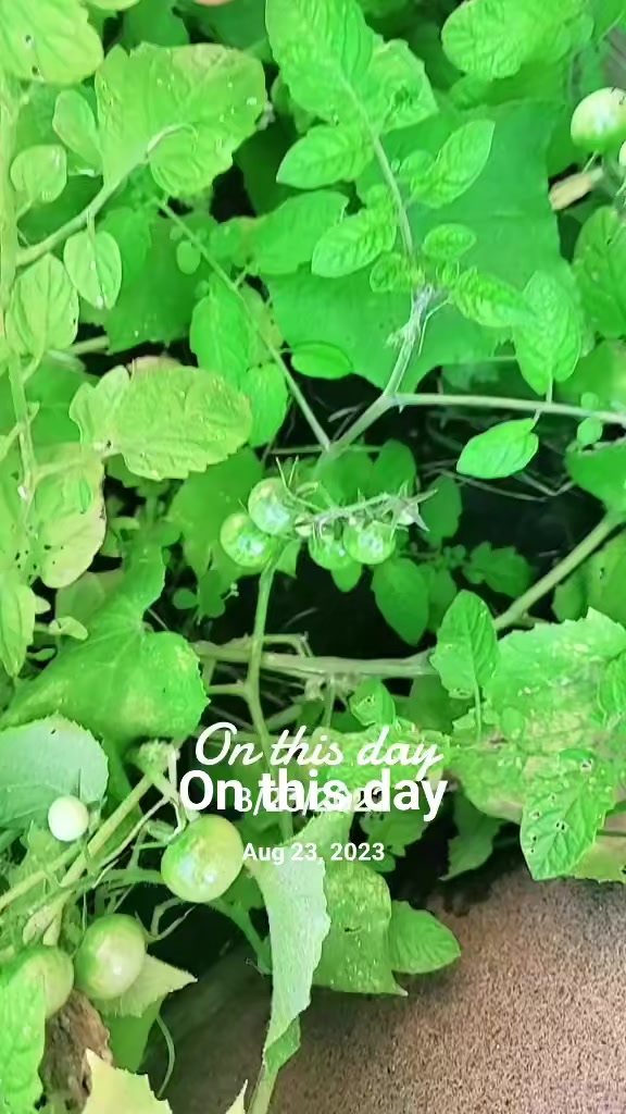 @மானமுள்ள தமிழச்சி